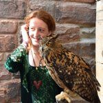 Balibeni Stand Gelateria